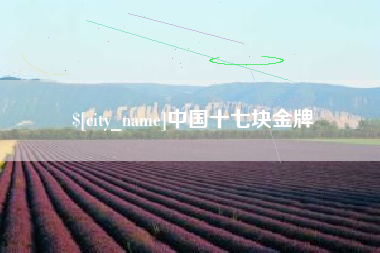 西宁中国十七块金牌