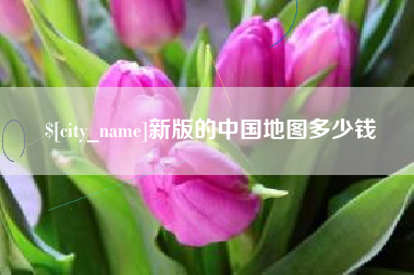 西宁新版的中国地图多少钱