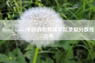 西宁中国消防救援学院录取分数线公布