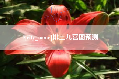 西宁排三九宫图预测