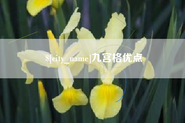 西宁九宫格优点