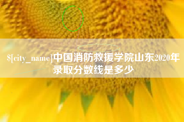 西宁中国消防救援学院山东2020年录取分数线是多少