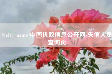 西宁中国执政信息公开网-失信人员查询页