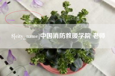 西宁中国消防救援学院 老师
