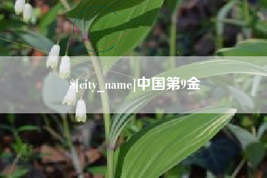 西宁中国第9金