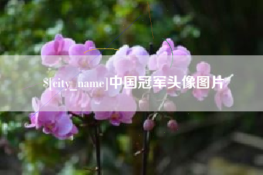 西宁中国冠军头像图片