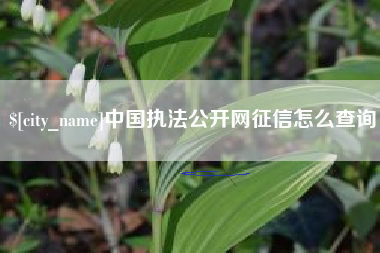 西宁中国执法公开网征信怎么查询