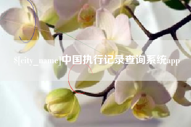 西宁中国执行记录查询系统app