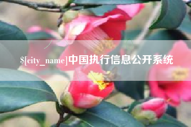 西宁中国执行信息公开系统