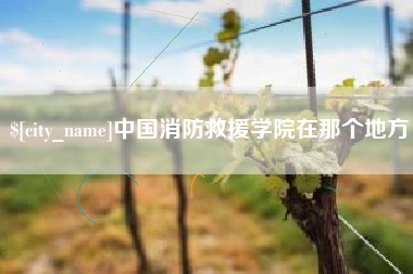 西宁中国消防救援学院在那个地方