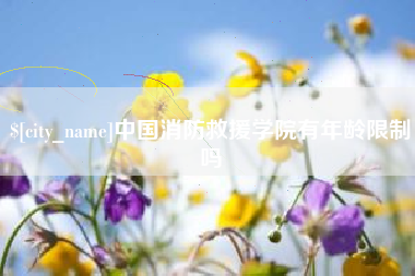 西宁中国消防救援学院有年龄限制吗