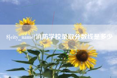 西宁消防学校录取分数线是多少