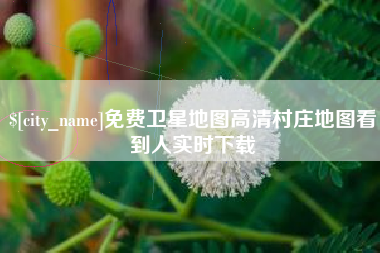 西宁免费卫星地图高清村庄地图看到人实时下载
