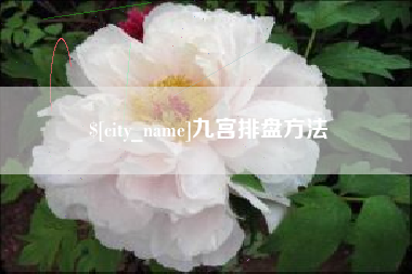 西宁九宫排盘方法
