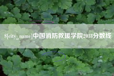 西宁中国消防救援学院2018分数线