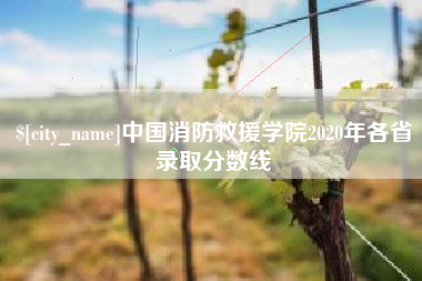 西宁中国消防救援学院2020年各省录取分数线