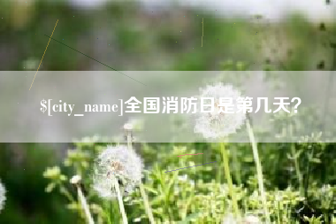 西宁全国消防日是第几天？