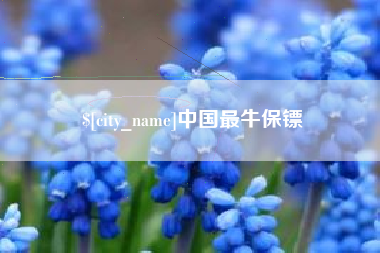 西宁中国最牛保镖
