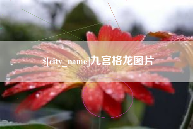 西宁九宫格龙图片