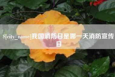 西宁我国消防日是哪一天消防宣传日