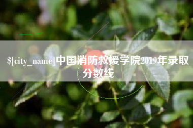 西宁中国消防救援学院2019年录取分数线
