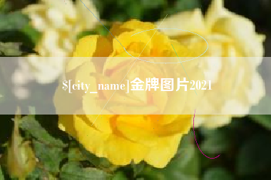 西宁金牌图片2021