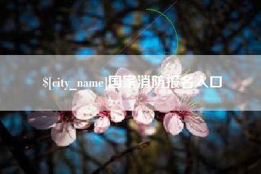 西宁国家消防报名入口