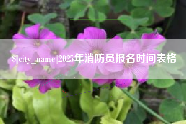 西宁2025年消防员报名时间表格