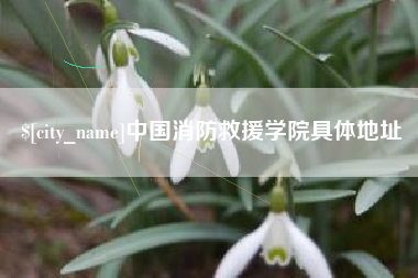 西宁中国消防救援学院具体地址