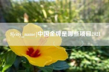 西宁中国金牌是哪些项目2021