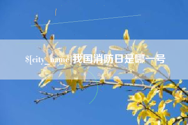 西宁我国消防日是哪一号