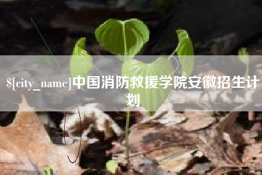 西宁中国消防救援学院安徽招生计划