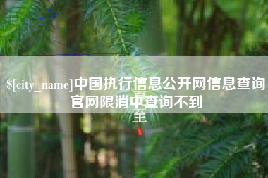西宁中国执行信息公开网信息查询官网限消中查询不到
