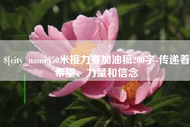 西宁50米接力赛加油稿200字-传递着希望、力量和信念