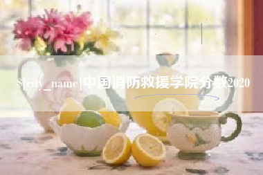 西宁中国消防救援学院分数2020