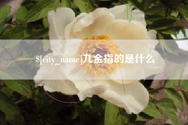 西宁九金指的是什么