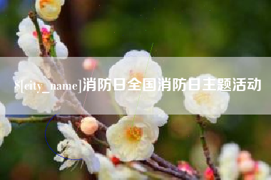 西宁消防日全国消防日主题活动