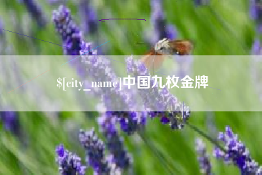 西宁中国九枚金牌