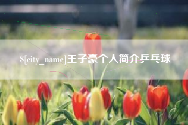 西宁王子豪个人简介乒乓球