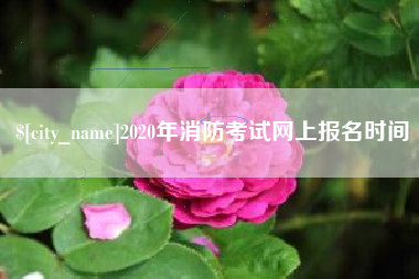 西宁2020年消防考试网上报名时间