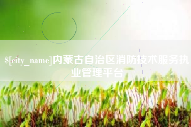 西宁内蒙古自治区消防技术服务执业管理平台