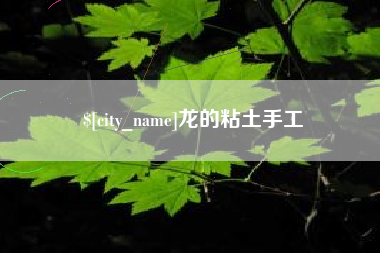 西宁龙的粘土手工