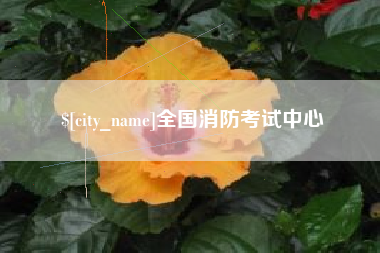 西宁全国消防考试中心