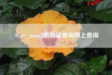 西宁消防证查询网上查询