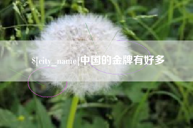 西宁中国的金牌有好多