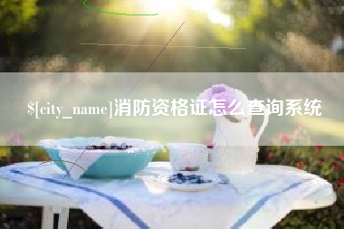 西宁消防资格证怎么查询系统
