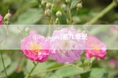 西宁第九金是