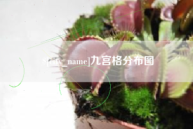西宁九宫格分布图