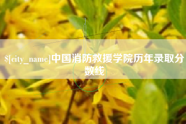 西宁中国消防救援学院历年录取分数线