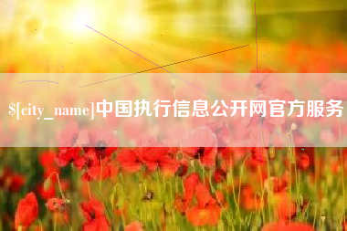 西宁中国执行信息公开网官方服务
